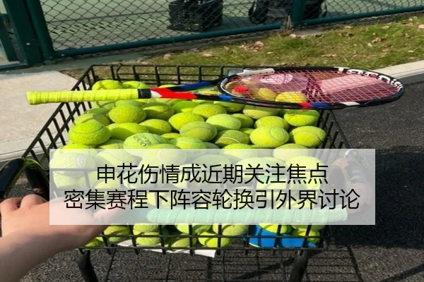 申花伤情成近期关注焦点 密集赛程下阵容轮换引外界讨论 | kaiyun